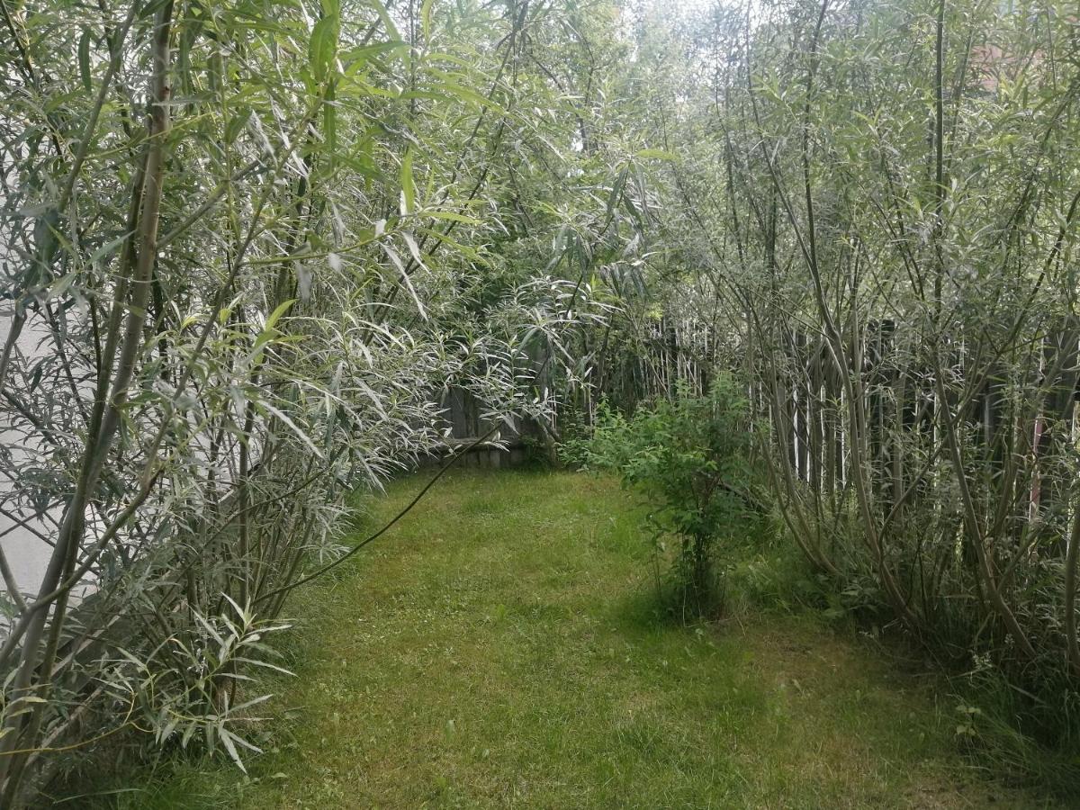 Apartmán Ostoja Białowieża Exteriér fotografie
