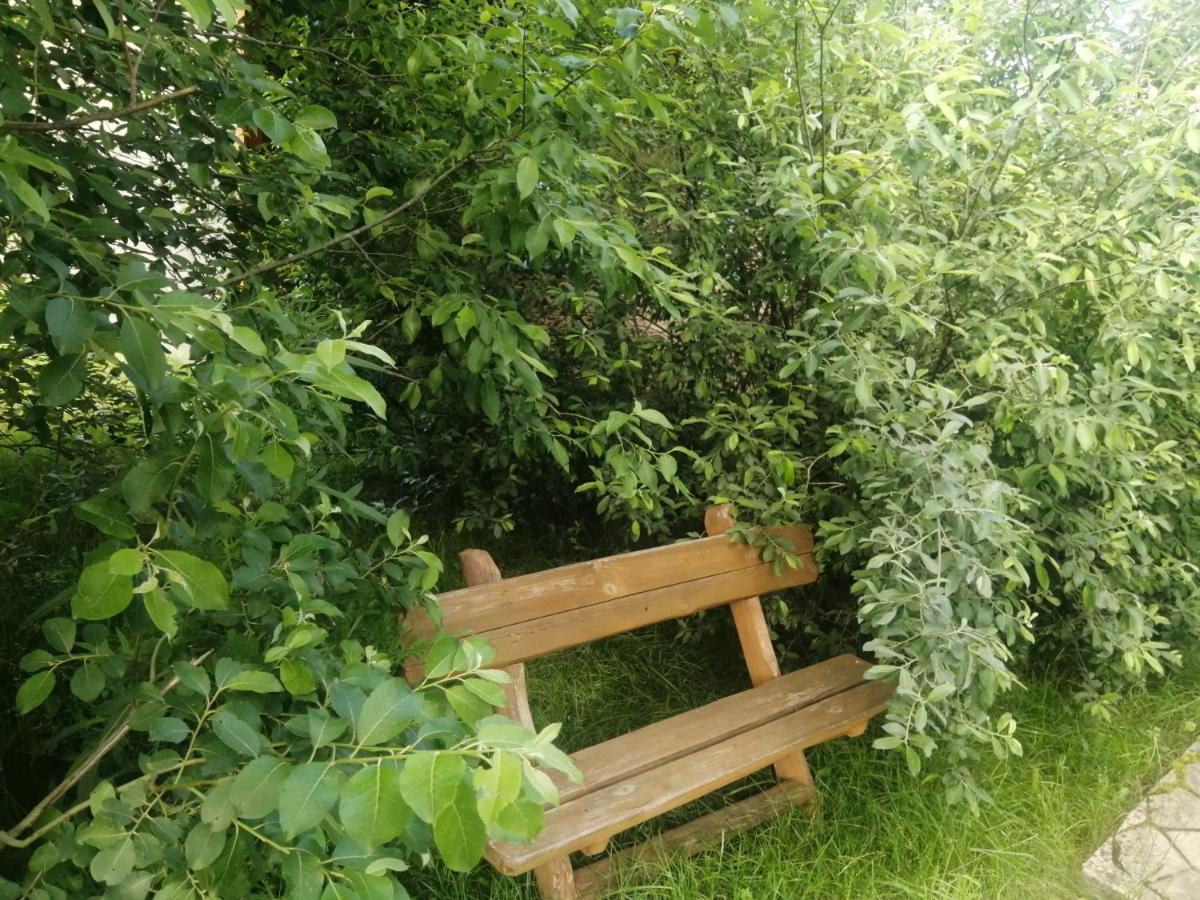 Apartmán Ostoja Białowieża Exteriér fotografie