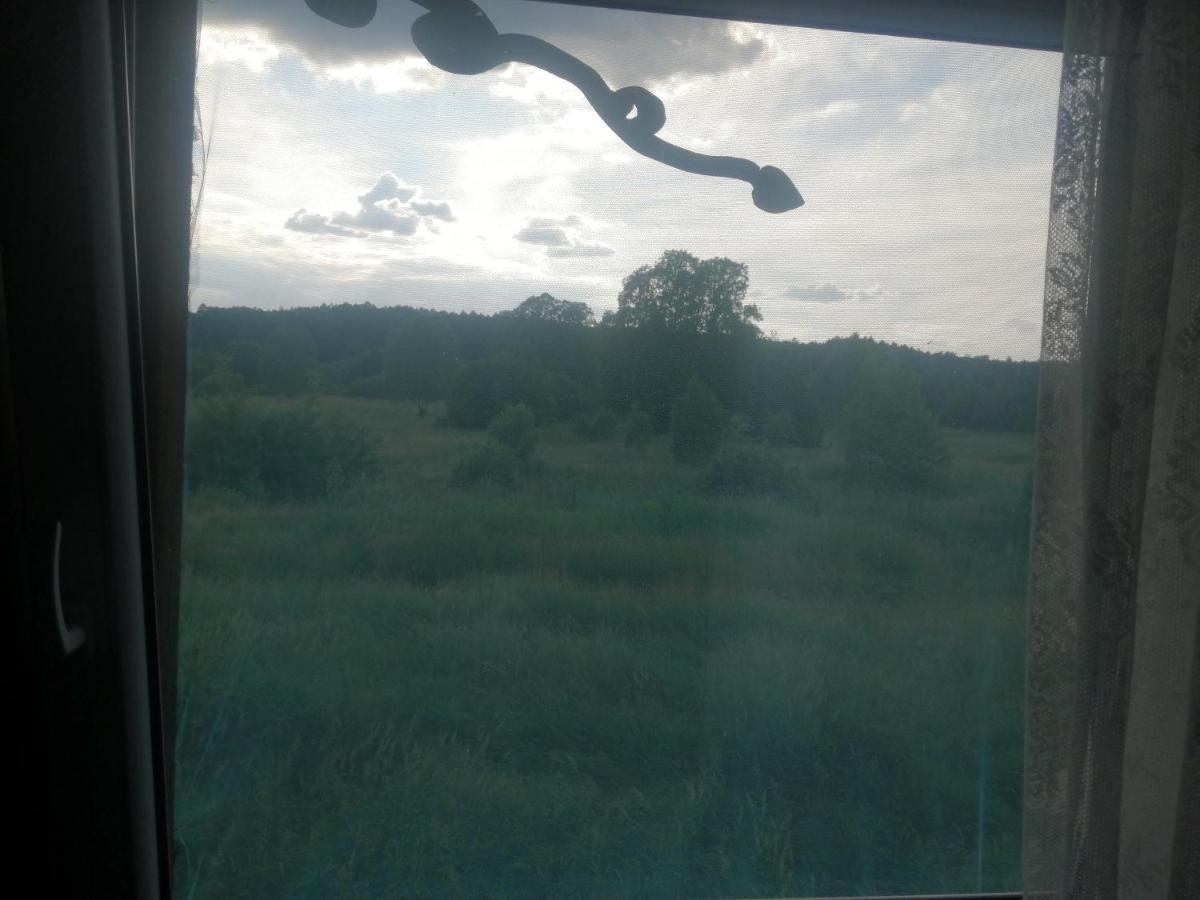 Apartmán Ostoja Białowieża Exteriér fotografie