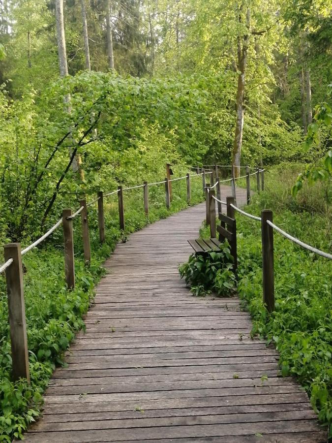 Apartmán Ostoja Białowieża Exteriér fotografie