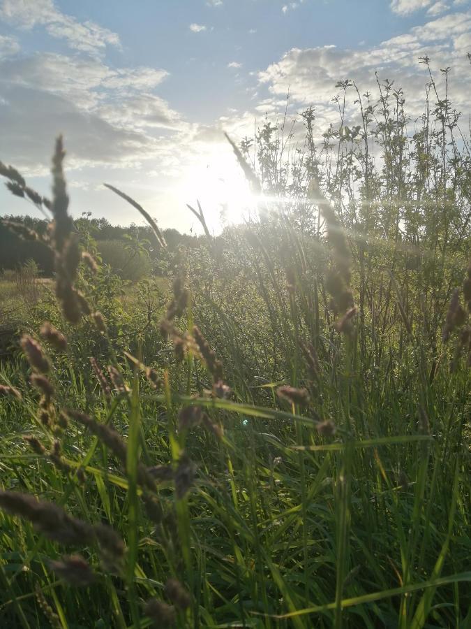 Apartmán Ostoja Białowieża Exteriér fotografie