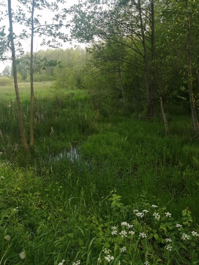 Apartmán Ostoja Białowieża Exteriér fotografie