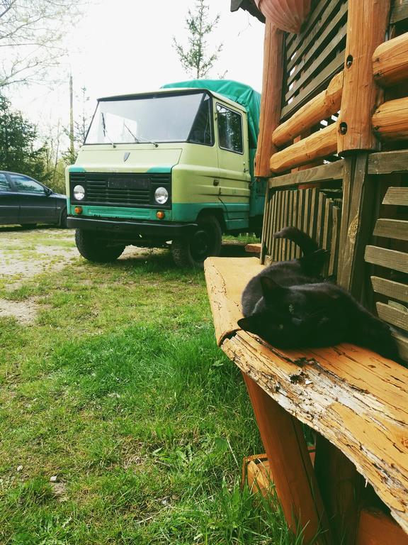 Apartmán Ostoja Białowieża Exteriér fotografie