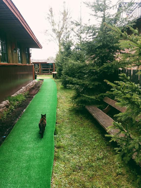 Apartmán Ostoja Białowieża Exteriér fotografie