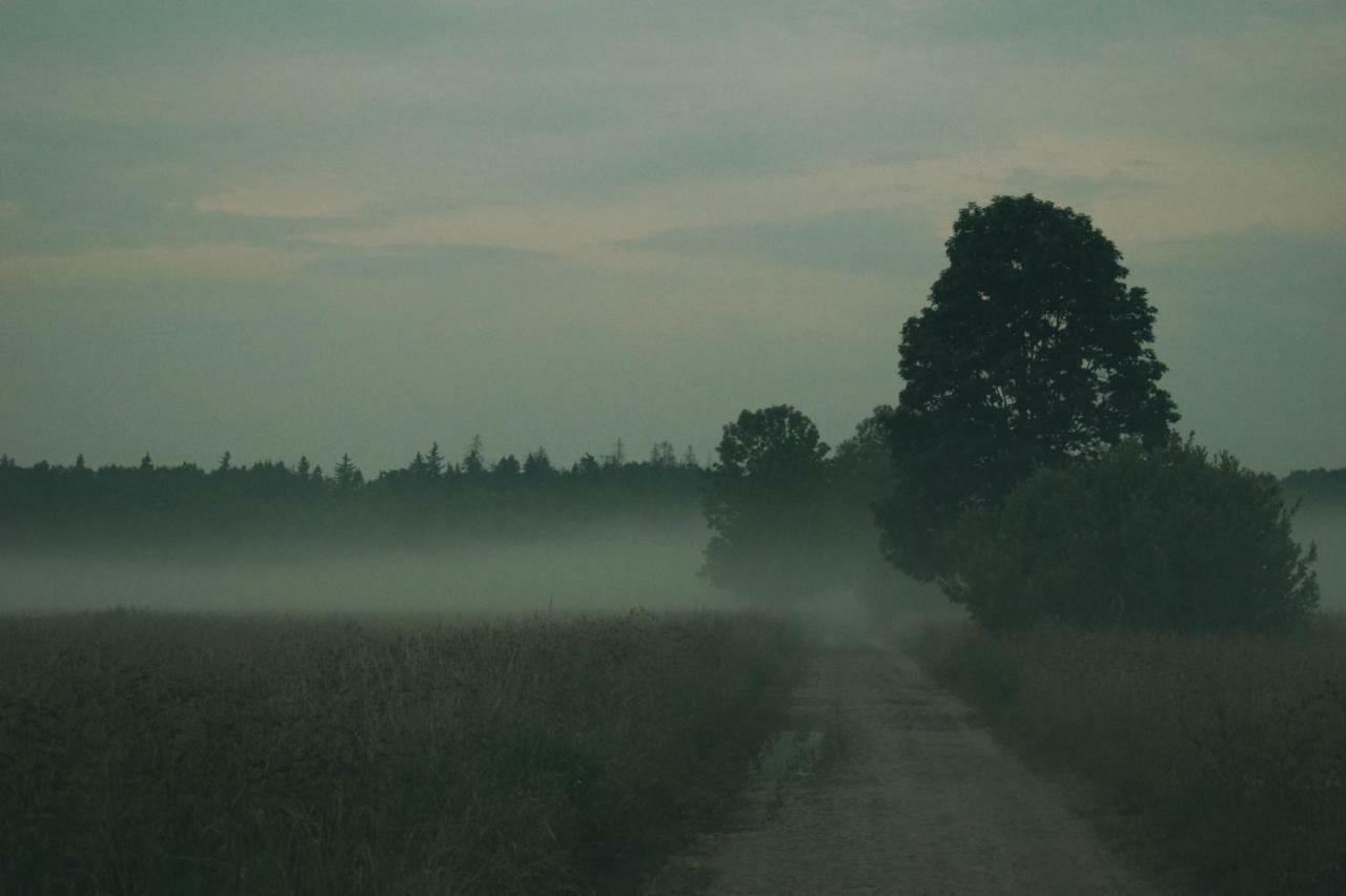 Apartmán Ostoja Białowieża Exteriér fotografie